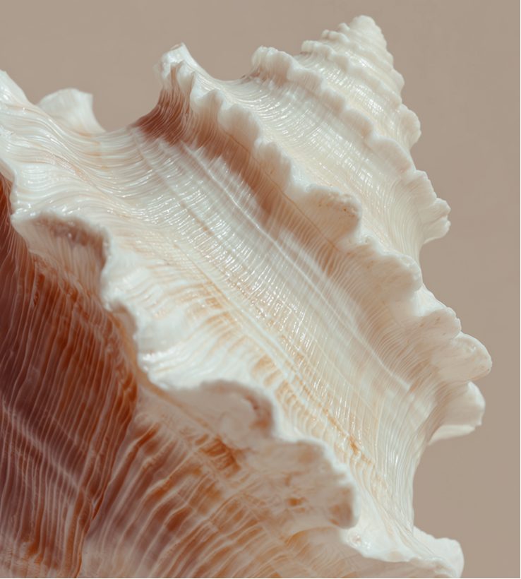 Ghwasa – Marine & Industrial Products